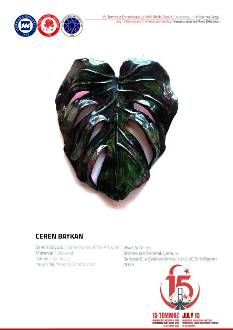 CEREN BAYKAN
